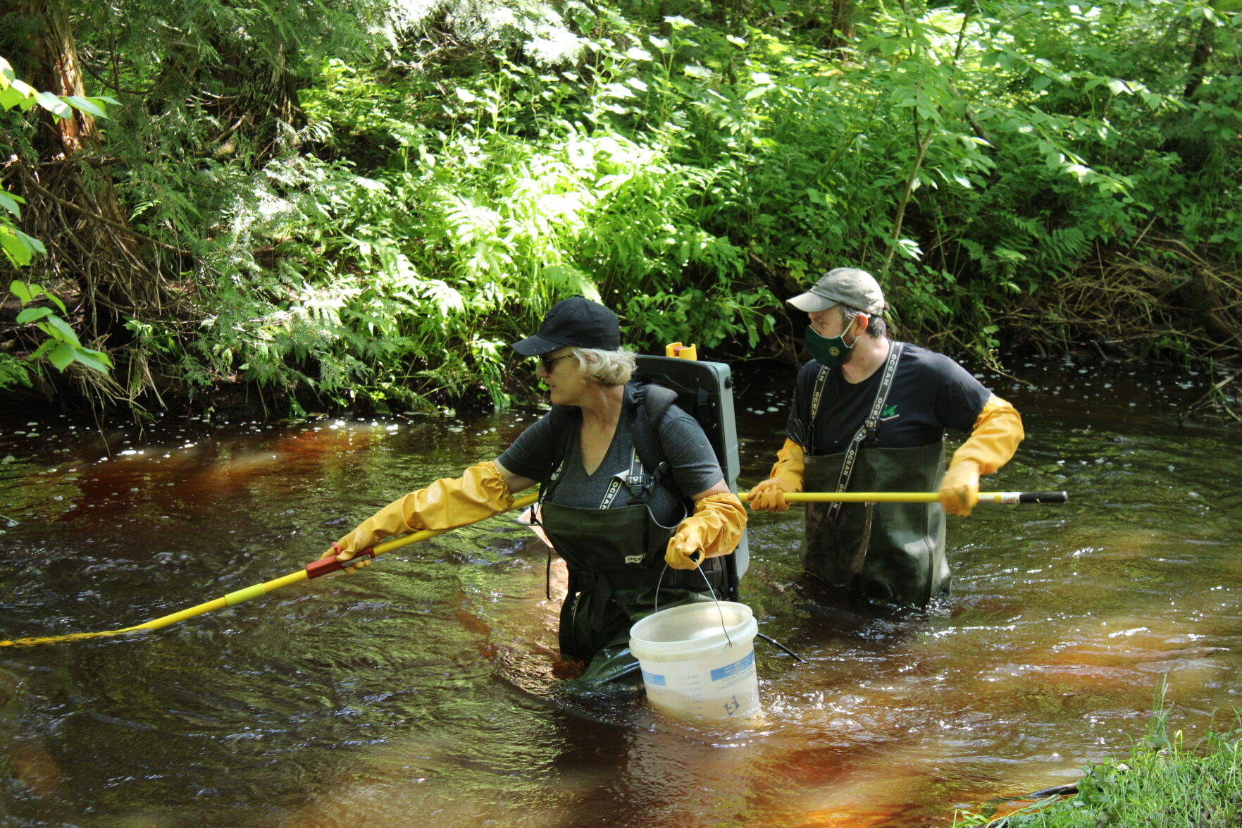 Electrofishing